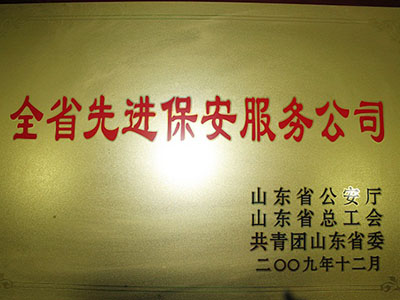 2009年全省先進保安服務(wù)公司